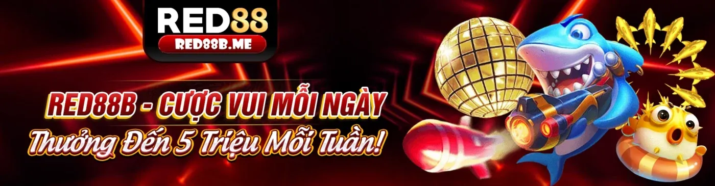 Hình ảnh giới thiệu về vn8day trang chủ chính thức